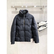 Louis Vuitton Down Jackets